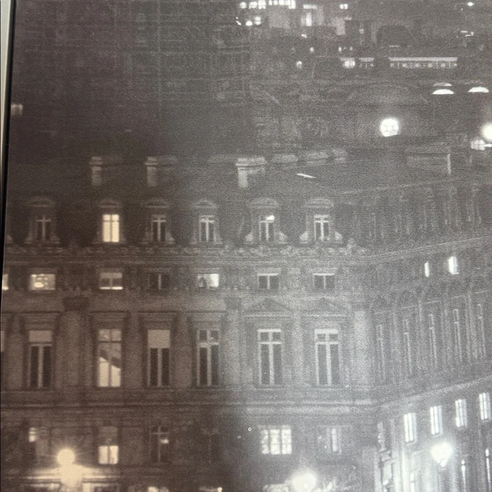 IKEA PJATTERYD Paris Cityscape Framed Wall Art Jean-Marc Charles Black White